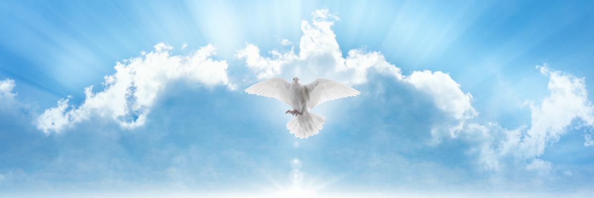 Thumbnail image for What makes life worth living in the face of death