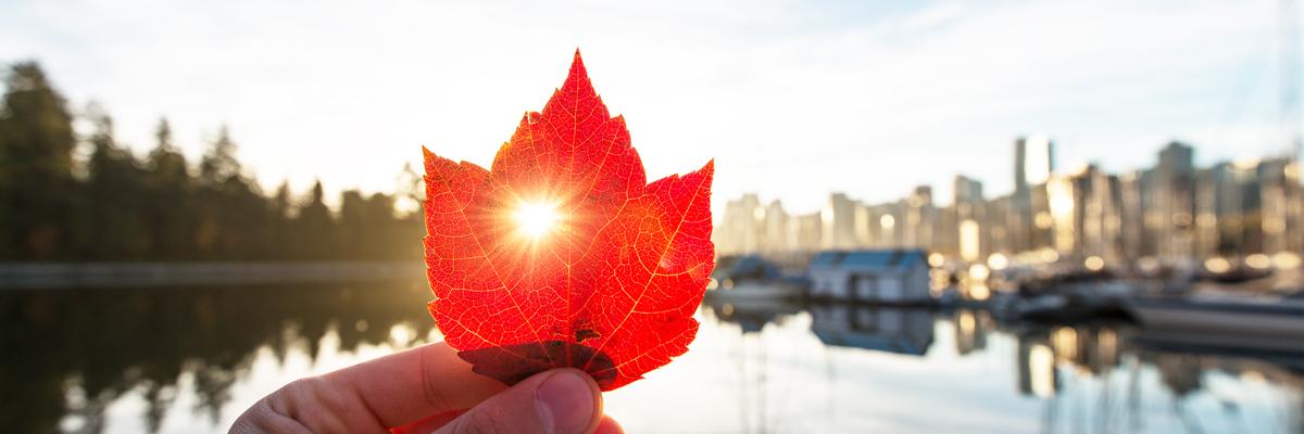 Knowledge cover image