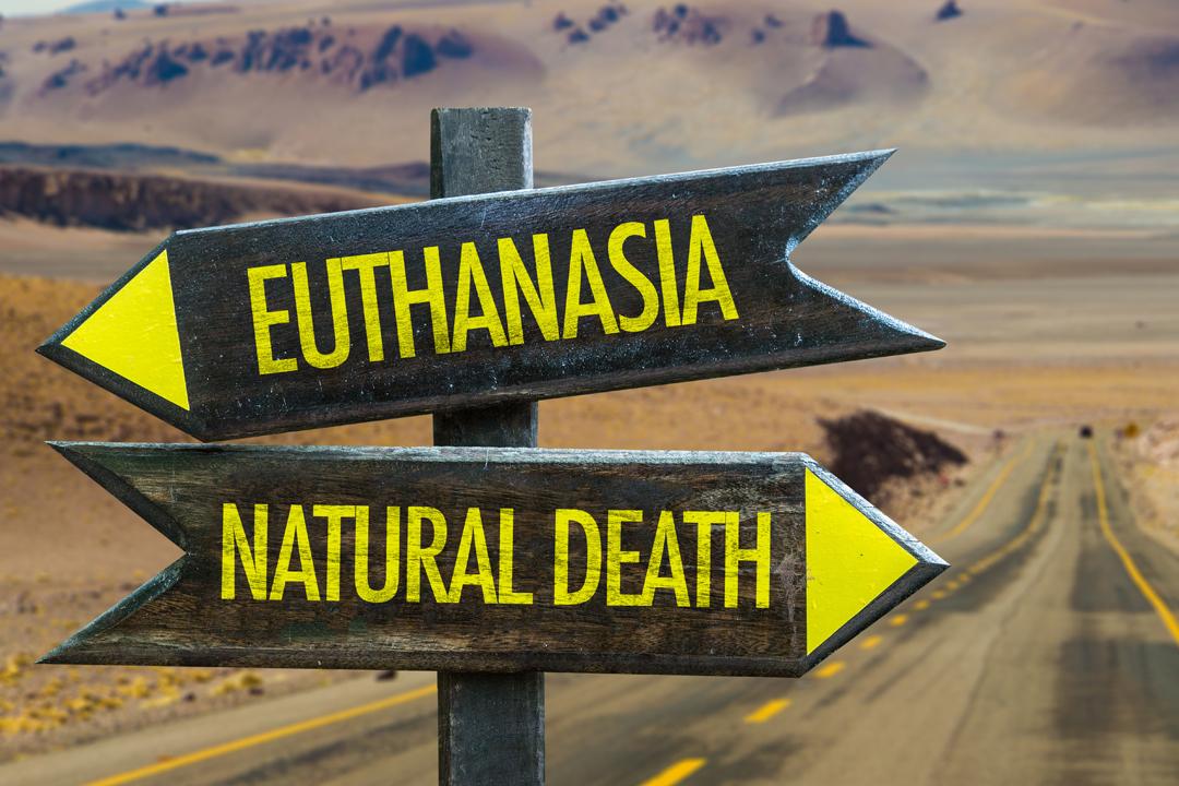 Thumbnail image for เข้าใจ “การุณยฆาต” ให้ถูกต้อง ก่อนคิดว่าเป็นทางเลือกสุดท้าย