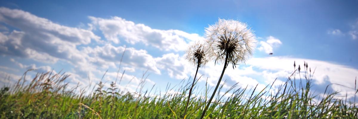 Thumbnail image for คำบอกลาสุดท้ายที่มีความหมาย