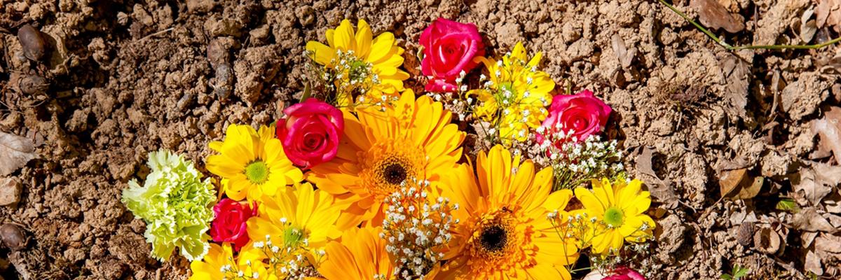 Thumbnail image for การฝังศพในที่ดินส่วนบุคคล