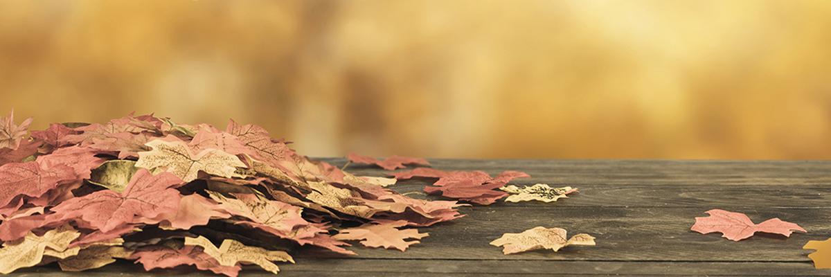 Knowledge cover image