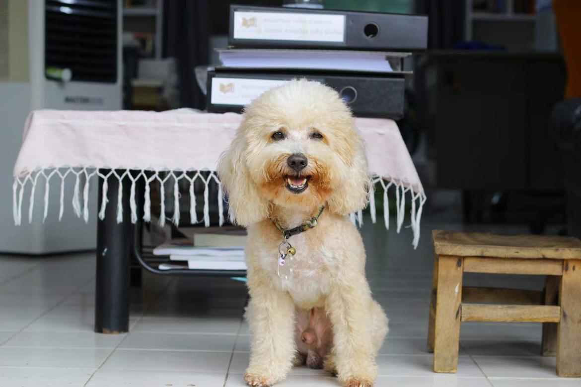 Knowledge cover image