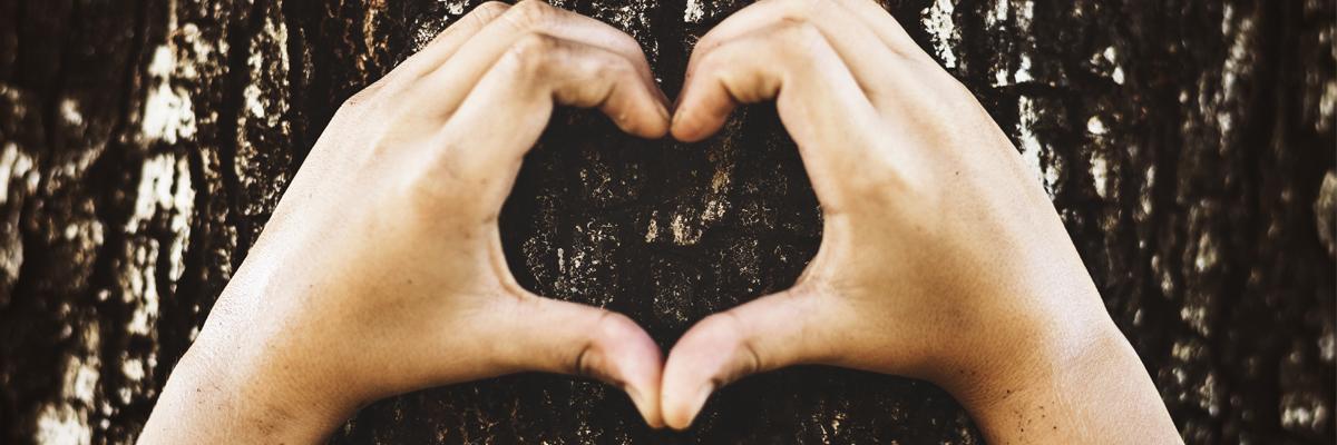 Thumbnail image for มรดกของพ่อ